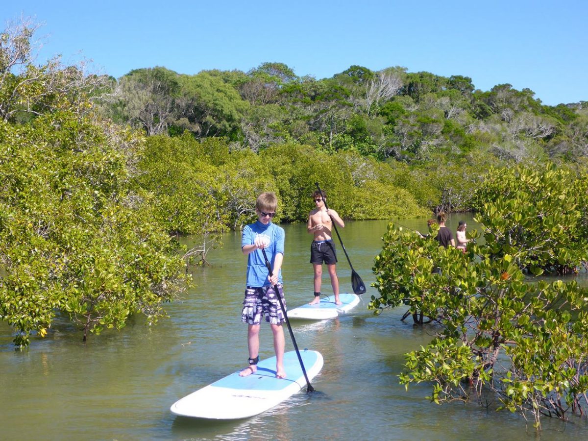 Stand Up Paddle Lesson Eco Tour 2 Hour - Rainbow beach